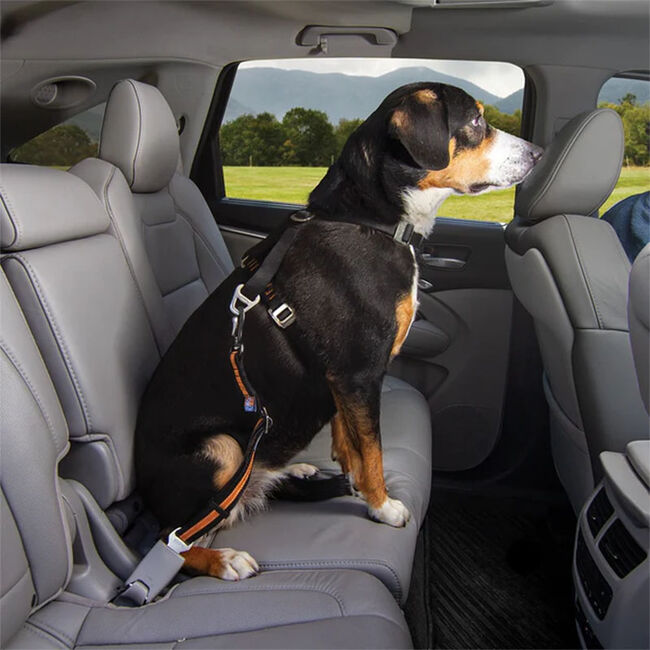 Kurgo Direct to Seatbelt Swivel Tether image number null