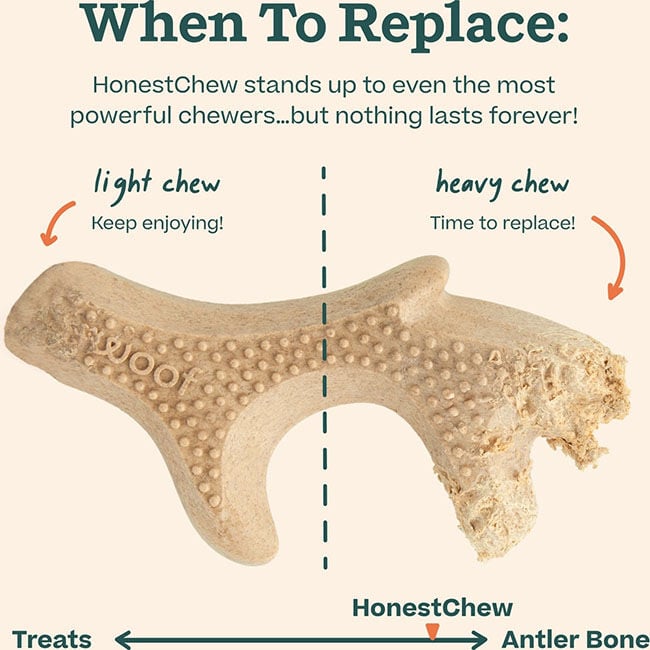Woof HonestChew - Antler image number null