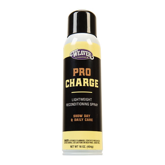 Stierwalt  ProCharge Reconditioning Spray image number null