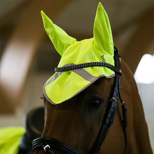 Horze Reflective Ear Net image number null
