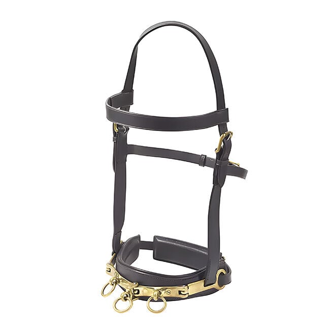 Camelot Leather Lunge Caveson image number null