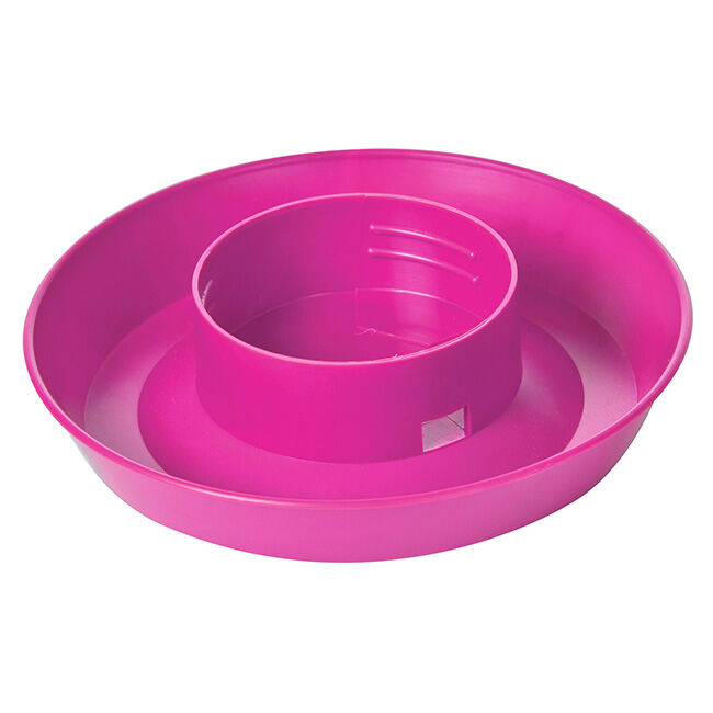 Little Giant Screw-On Waterer Base for 1-Quart Poultry Feeder/Waterer Jar image number null