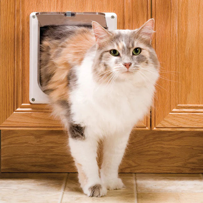 PetSafe Cat Flap image number null