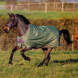 Horseware Amigo Hero Ripstop Turnout (0g Light) - Bramble/Winterberry/Taupe