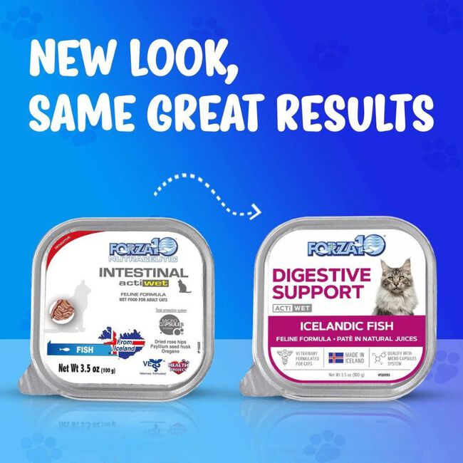 Forza10 Nutraceutic Actiwet Cat Food - Digestive Support Diet - Icelandic Fish Recipe - 3.5 oz image number null