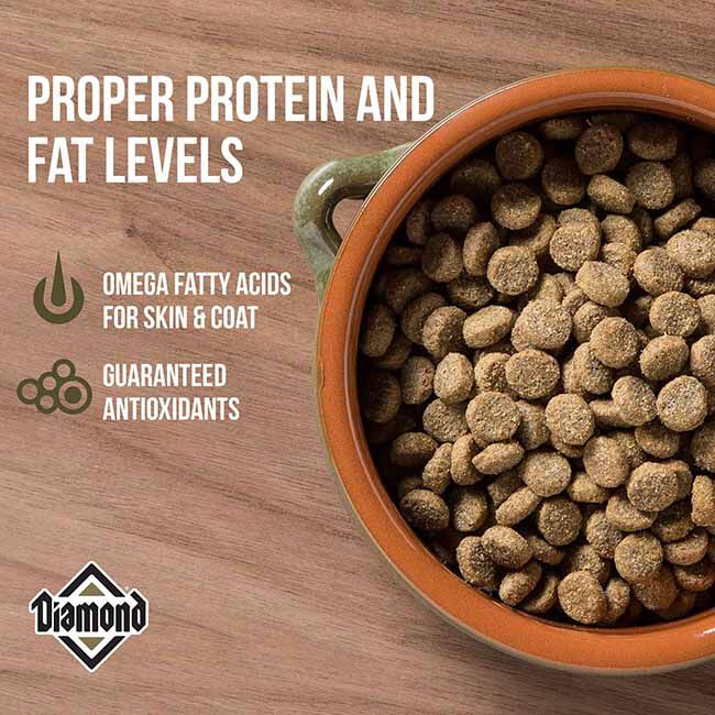 Diamond Hi-Energy Dog Food - Formulated for Sporting Dogs image number null