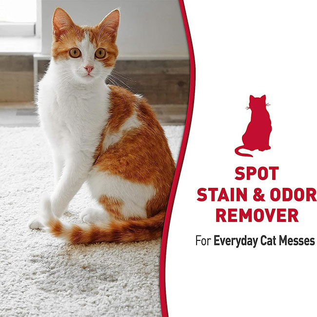 Nature's Miracle Stain & Odor Remover for Cats image number null