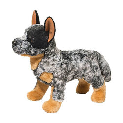 Douglas Bolt the Australian Cattle Dog
