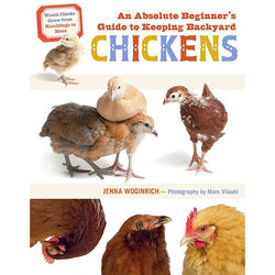 An Absolute Beginner's Guide to Keeping Backyard Chickens: Watch Chicks Grow from Hatchlings to Hens