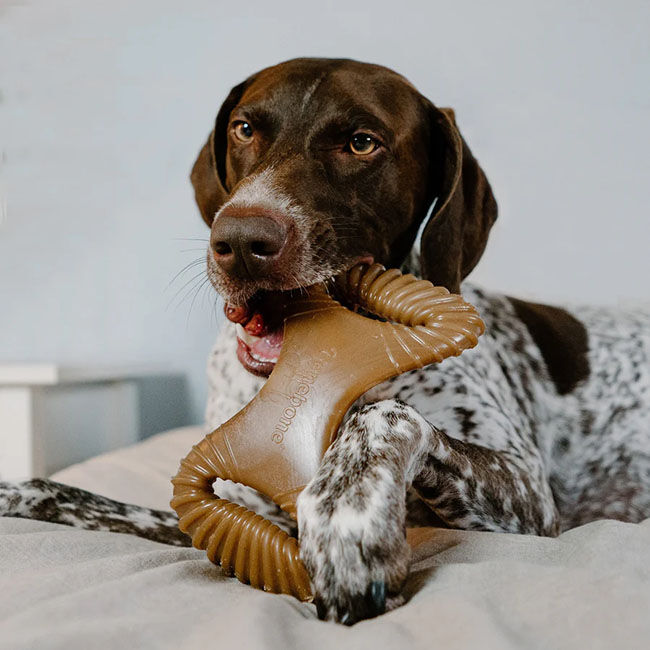 Benebone Dental Chew - Peanut Butter Flavor image number null