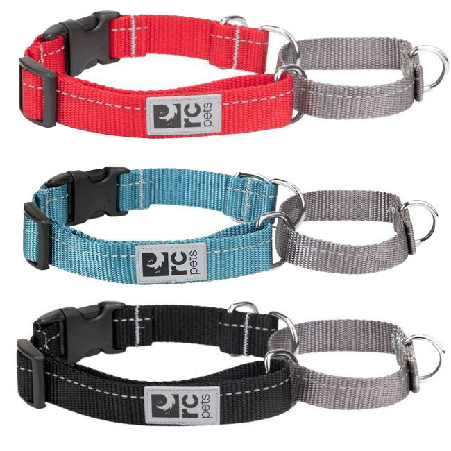 RC Pets Primary Web Training Clip Dog Collar image number null