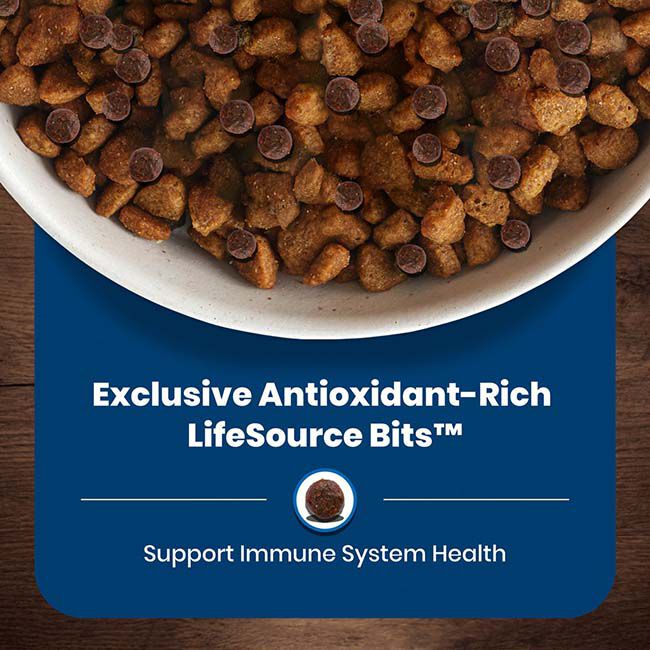 Blue Buffalo Life Protection Formula Healthy Weight Dog Food - Salmon & Brown Rice Recipe image number null