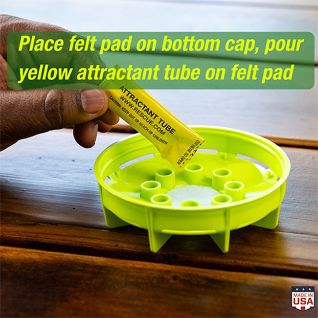 RESCUE! W-H-Y Trap for Wasps, Hornets & Yellowjackets image number null