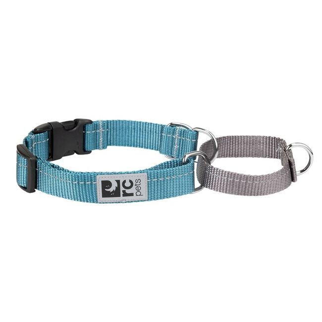 RC Pets Primary Web Training Clip Dog Collar image number null