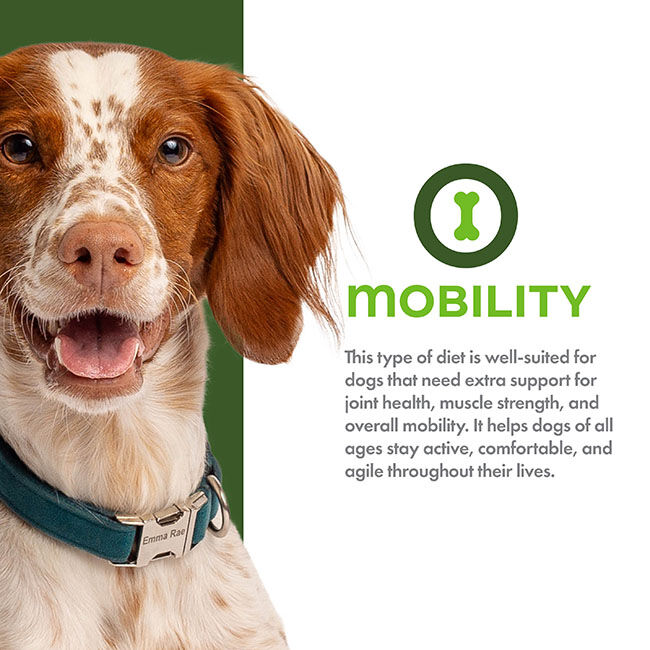 Fromm Nutritionals Mobility Support Dog Food - Chicken & Whole Oats Recipe image number null