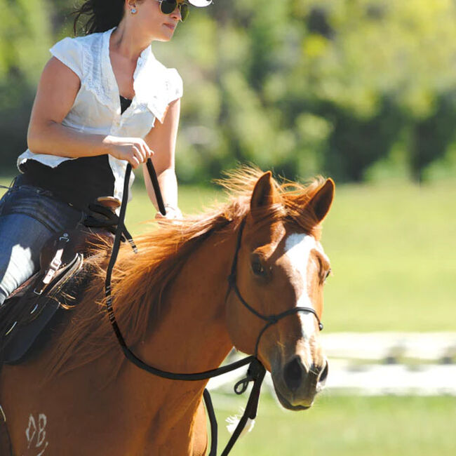 Parelli Natural Hackamore image number null