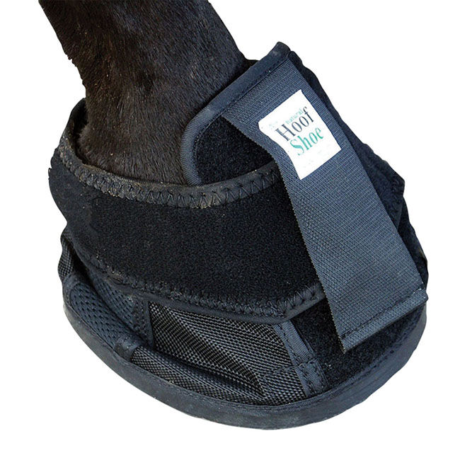 Exselle Natural Hoof Shoe image number null