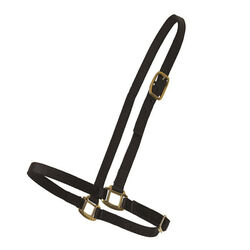 Perri's Leather Nylon Grooming Halter