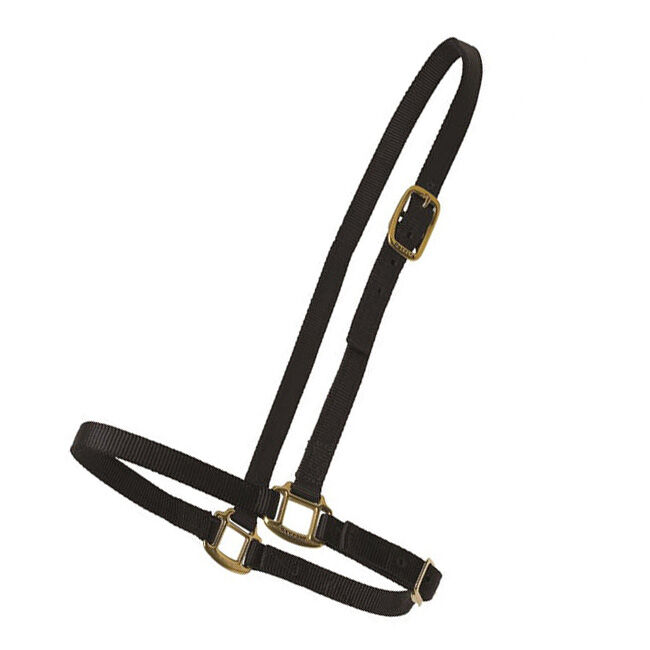 Perri's Leather Nylon Grooming Halter image number null