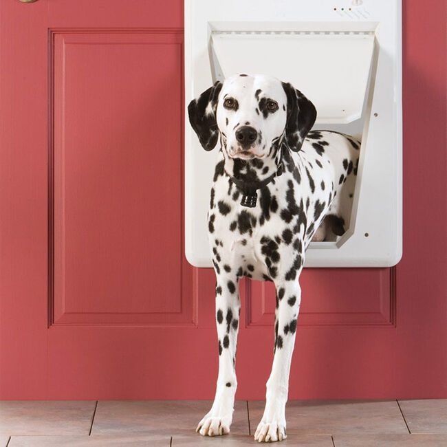 PetSafe Electronic SmartDoor image number null