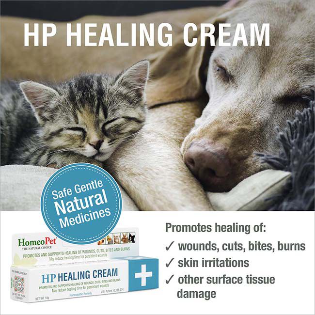 HomeoPet HP Healing Cream - 15 mL image number null