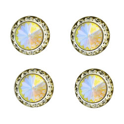 Finishing Touch of Kentucky Magnetic Tack Pins - Aurora Borealis Stone