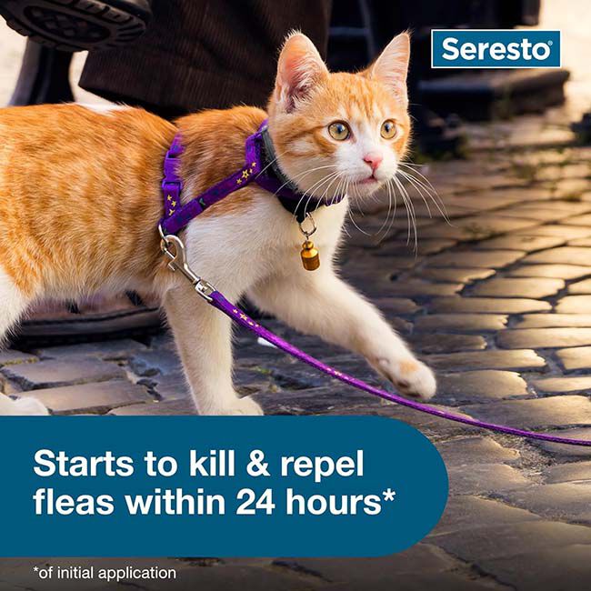 Elanco Seresto Flea & Tick Collar for Cats image number null