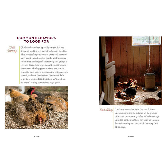 How to Speak Chicken: Why Your Chickens Do What They Do & Say What They Say image number null