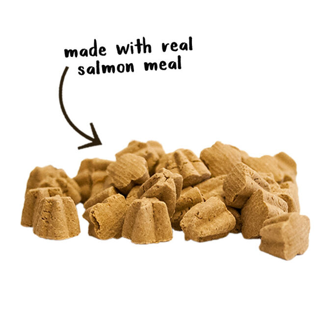 Cloud Star Tricky Trainers Soft & Chewy Dog Treats - Salmon image number null