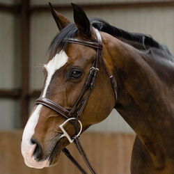 KL Select Black Oak Poppy Hunter Bridle - Brown