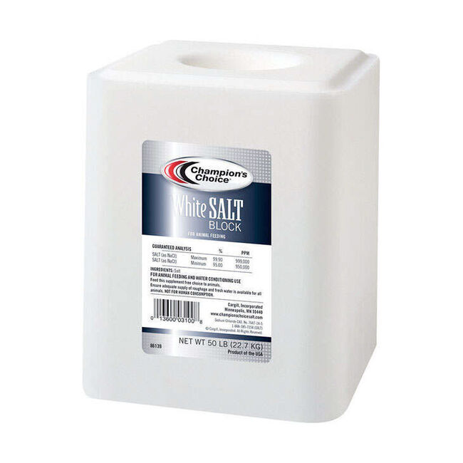 Champion's Choice White Salt Block - 50 lb image number null