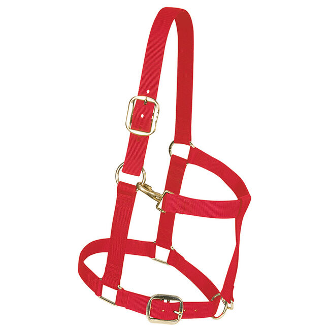 Weaver Nylon Draft Halter image number null
