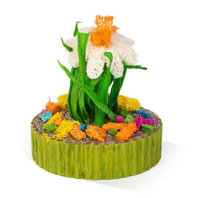 Prevue Pet Succulent Mini Garden - Assorted Colors image number null