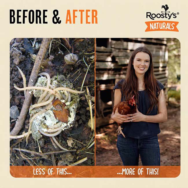 Roosty's Flock Armor - Daily Worm Defense + Gut Support with Chili & Oregano - 1 lb image number null