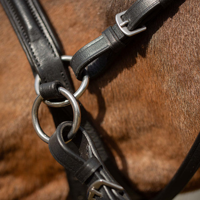 Equinavia Saga Bitless Bridle image number null