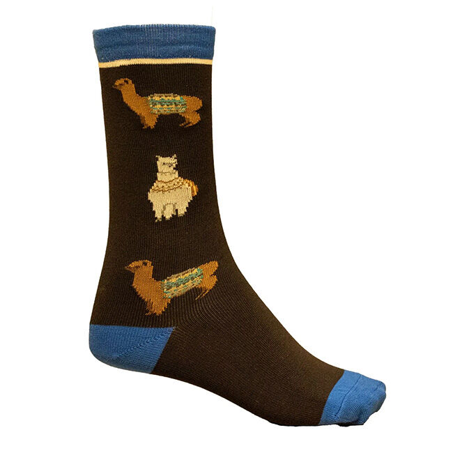 Shires Aubrion Kids' Bamboo Everyday Socks image number null