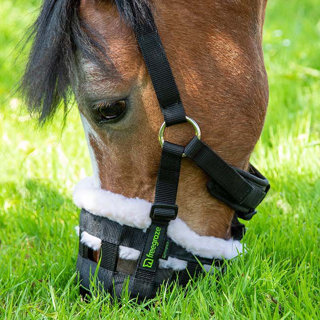 Shires FreeGraze Deluxe Comfort Grazing Muzzle image number null