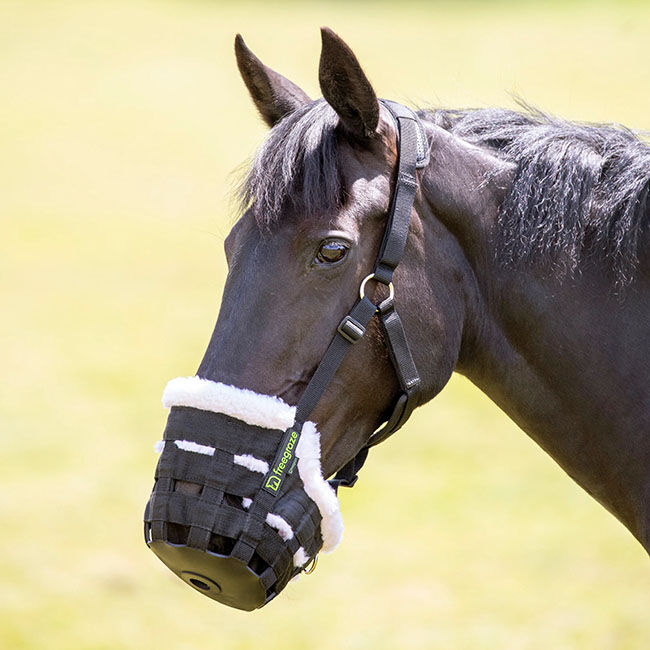 Shires FreeGraze Deluxe Comfort Grazing Muzzle image number null