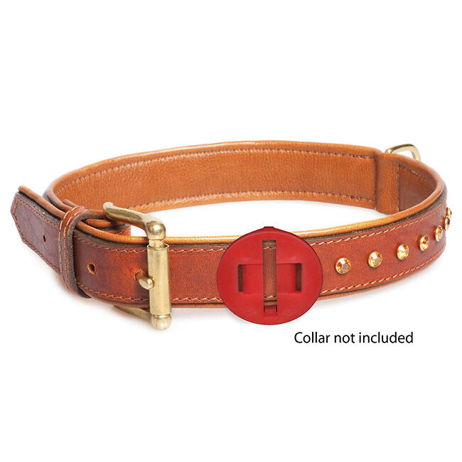 Calm Paws Calming Disk for Dogs image number null