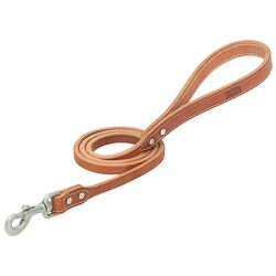 Terrain D.O.G. Buttered Harness Leather Hybrid Dog Leash - Canyon Rose