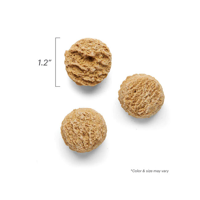 The Honest Kitchen Goat's Milk N' Cookies Probiotic Dog Treats - Pumpkin & Cinnamon image number null