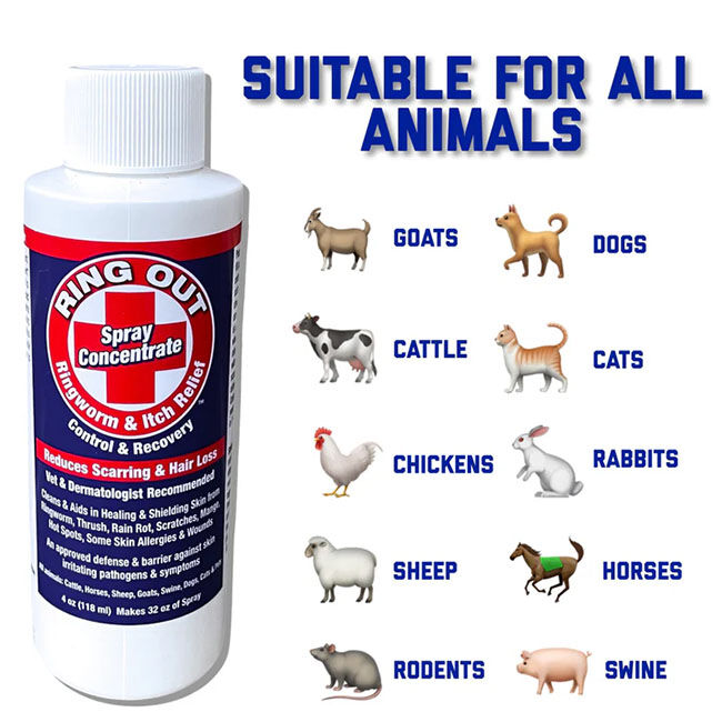 FlexTran Animal Care Ring Out Ringworm & Fungus Control - Spray Concentrate - 4 oz image number null