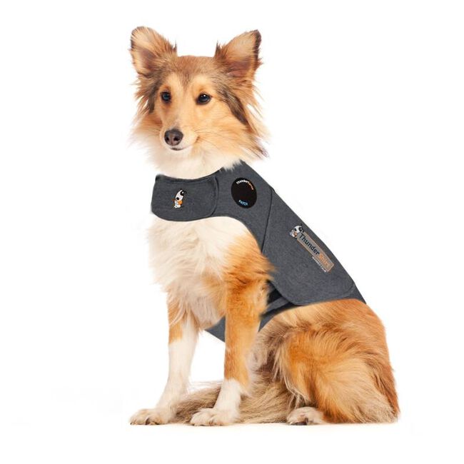 ThunderWorks ThunderShirt Classic - Anti Anxiety Dog Jacket image number null