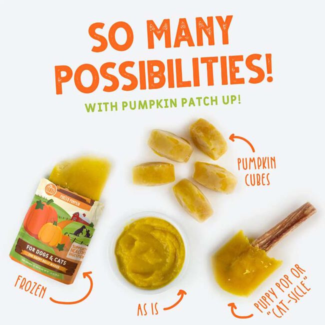 Weruva Pumpkin Patch Up! Variety Pack for Dogs & Cats - 12-Count of 1.05 oz Pouches image number null