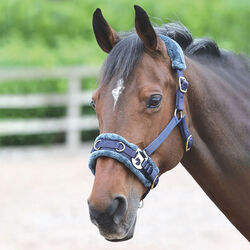 Shires Fleece-Lined Lunge Cavesson - Navy
