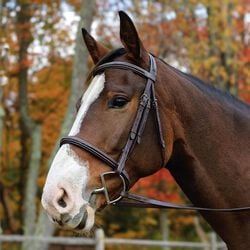 Shires Avignon Nashville Bridle