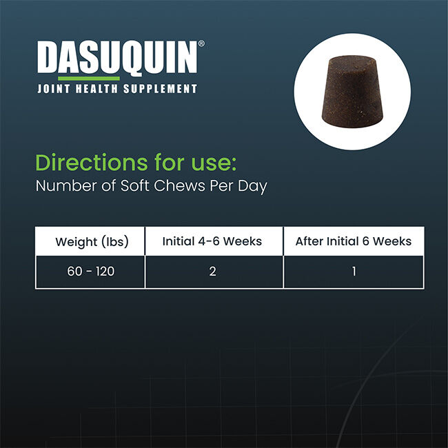 Nutramax Dasuquin for Large Dogs, Joint Health Supplement, Contains Glucosamine for Dogs, Plus Chondroitin, ASU, MSM and More, Supports Healthy Joints, Soft Chews image number null