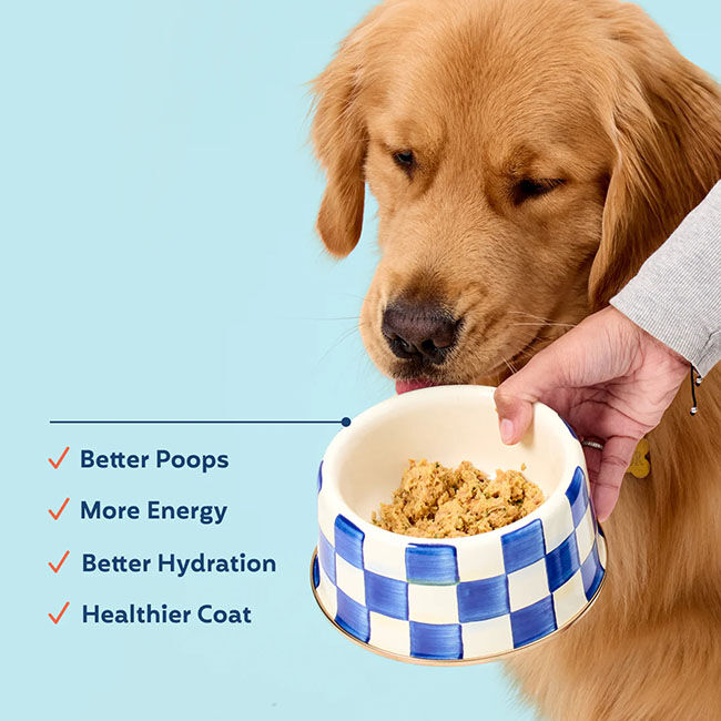 My Perfect Pet Gently Cooked Frozen Dog Food - Sweetheart's Pork Recipe - 4 lb image number null
