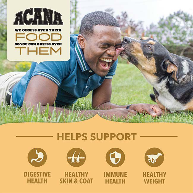ACANA Wholesome Grains Dog Food - Free-Run Poultry & Grains Recipe image number null