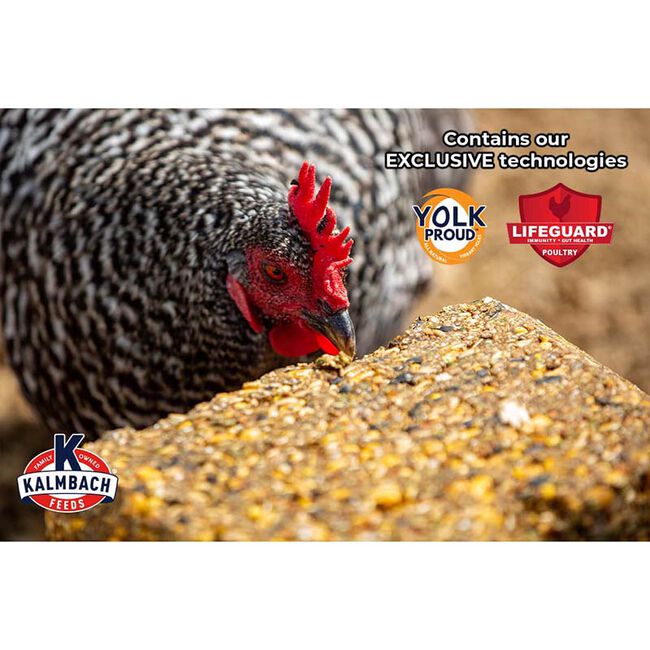 Kalmbach Feeds Henhouse Reserve Supplement Block - 20 lb image number null